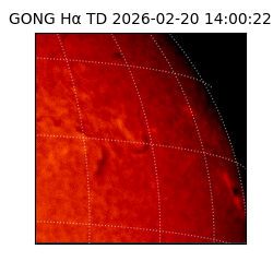 gong - 2026-02-20T14:00:22