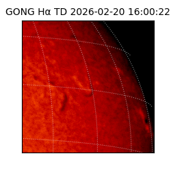 gong - 2026-02-20T16:00:22