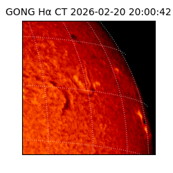 gong - 2026-02-20T20:00:42