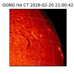 gong - 2026-02-20T21:00:42