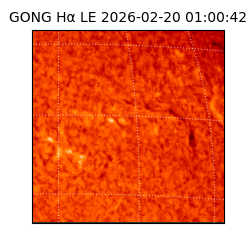 gong - 2026-02-20T01:00:42