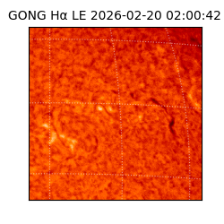 gong - 2026-02-20T02:00:42