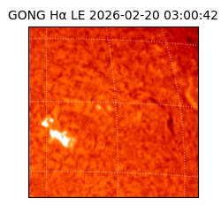 gong - 2026-02-20T03:00:42