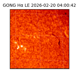 gong - 2026-02-20T04:00:42