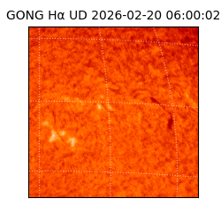 gong - 2026-02-20T06:00:02