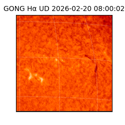 gong - 2026-02-20T08:00:02