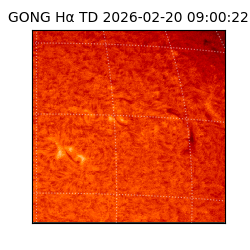 gong - 2026-02-20T09:00:22