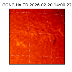 gong - 2026-02-20T14:00:22
