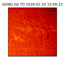 gong - 2026-02-20T15:00:22