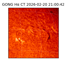 gong - 2026-02-20T21:00:42