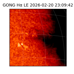 gong - 2026-02-20T23:09:42