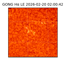 gong - 2026-02-20T02:00:42