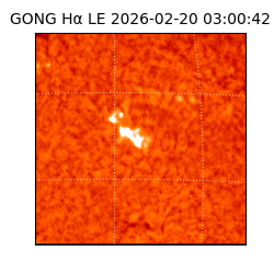 gong - 2026-02-20T03:00:42