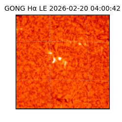 gong - 2026-02-20T04:00:42