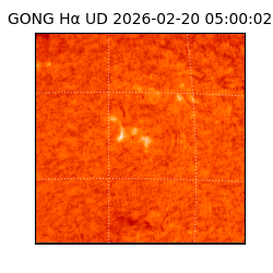 gong - 2026-02-20T05:00:02