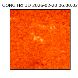 gong - 2026-02-20T06:00:02