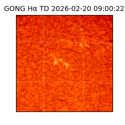 gong - 2026-02-20T09:00:22