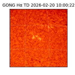 gong - 2026-02-20T10:00:22