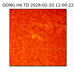 gong - 2026-02-20T12:00:22