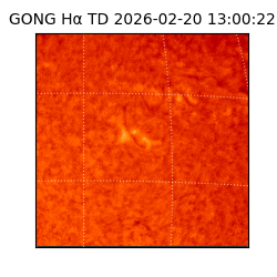 gong - 2026-02-20T13:00:22