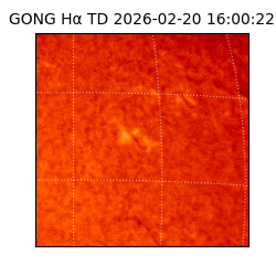 gong - 2026-02-20T16:00:22