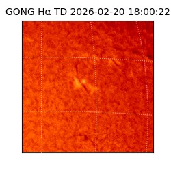 gong - 2026-02-20T18:00:22