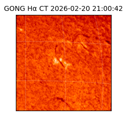 gong - 2026-02-20T21:00:42