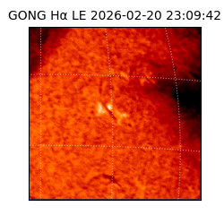 gong - 2026-02-20T23:09:42