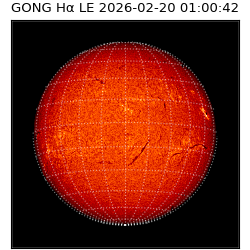 gong - 2026-02-20T01:00:42