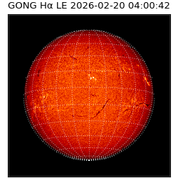 gong - 2026-02-20T04:00:42