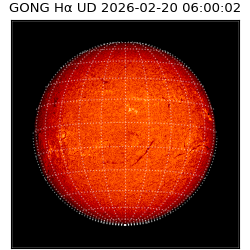 gong - 2026-02-20T06:00:02