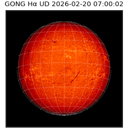gong - 2026-02-20T07:00:02