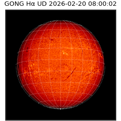 gong - 2026-02-20T08:00:02