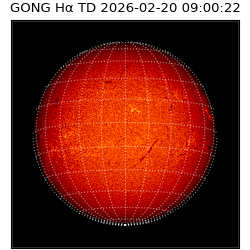 gong - 2026-02-20T09:00:22
