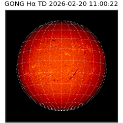 gong - 2026-02-20T11:00:22