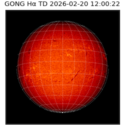 gong - 2026-02-20T12:00:22
