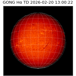 gong - 2026-02-20T13:00:22
