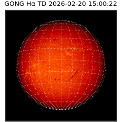 gong - 2026-02-20T15:00:22