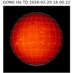 gong - 2026-02-20T16:00:22