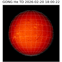 gong - 2026-02-20T18:00:22