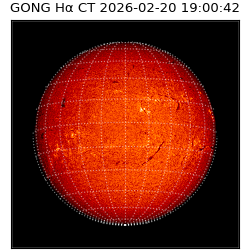 gong - 2026-02-20T19:00:42