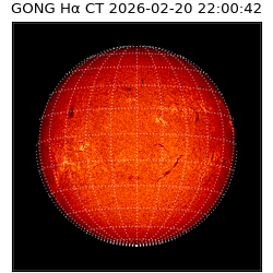 gong - 2026-02-20T22:00:42