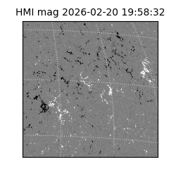 shmi - 2026-02-20T19:58:32.300000