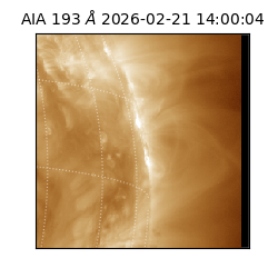 saia - 2026-02-21T14:00:04.842000