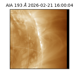 saia - 2026-02-21T16:00:04.842000