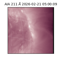 saia - 2026-02-21T05:00:09.632000