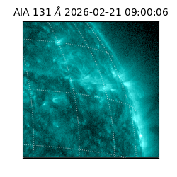 saia - 2026-02-21T09:00:06.622000