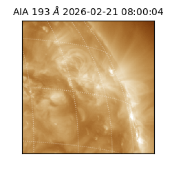 saia - 2026-02-21T08:00:04.835000