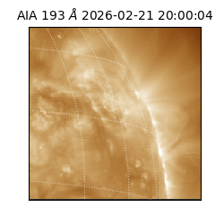 saia - 2026-02-21T20:00:04.835000