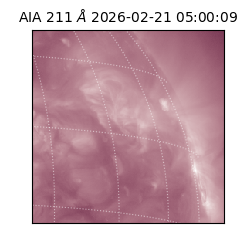 saia - 2026-02-21T05:00:09.632000